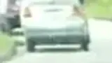 BYD Dolphin Mini - Miniatura 4