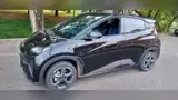 BYD Dolphin Mini - Miniatura 6