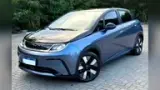 BYD Dolphin Plus - Miniatura 1
