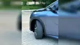BYD Dolphin Plus - Miniatura 5