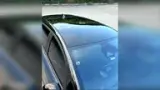 BYD Dolphin Plus - Miniatura 6