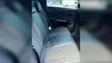 BYD Dolphin Plus - Miniatura 11