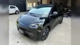 BYD Dolphin Mini - Miniatura 2
