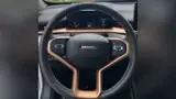 GWM Haval H6 Plug-in Hybrid - Miniatura 9