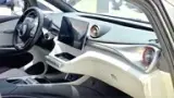 BYD Dolphin - Miniatura 10
