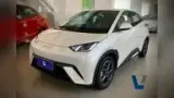 BYD Dolphin Mini - Miniatura 1