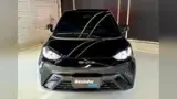 BYD Dolphin Mini - Miniatura 4