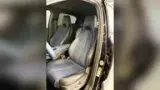 BYD Dolphin Mini - Miniatura 11