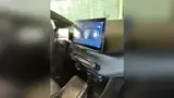 BYD Dolphin Mini - Miniatura 13