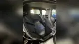 BYD Dolphin Mini - Miniatura 14