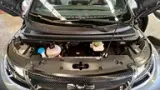 BYD Dolphin - Miniatura 15