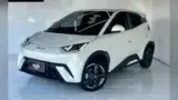 BYD Dolphin - Miniatura 1