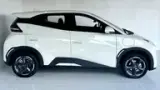 BYD Dolphin - Miniatura 7