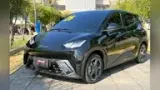 BYD Dolphin Mini - Miniatura 2