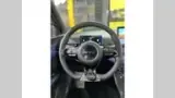 BYD Dolphin Mini - Miniatura 14