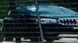 BYD Dolphin Mini - Miniatura 11