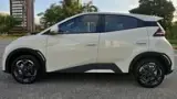 BYD Dolphin Mini - Miniatura 1