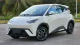 BYD Dolphin Mini - Miniatura 6