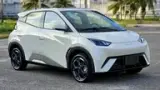 BYD Dolphin Mini - Miniatura 9