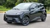 BYD Dolphin Mini - Miniatura 1