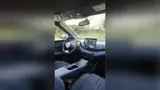 BYD Dolphin Mini - Miniatura 12