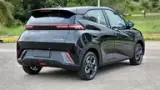 BYD Dolphin Mini - Miniatura 19