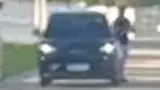 BYD Dolphin Mini - Miniatura 6