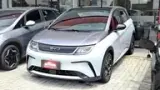BYD Dolphin Plus - Miniatura 4