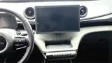 BYD Dolphin Plus - Miniatura 15