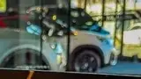 BYD Dolphin Mini - Miniatura 9