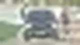 BYD Dolphin Mini - Miniatura 8