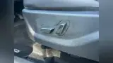 BYD Dolphin Mini - Miniatura 14