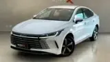 BYD King - Miniatura 1