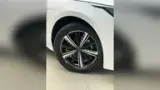 BYD King - Miniatura 9