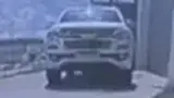 BYD Dolphin - Miniatura 7