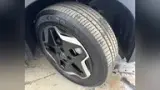 BYD Dolphin - Miniatura 13