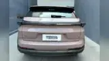 Neta X - Miniatura 4