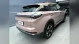 Neta X - Miniatura 5
