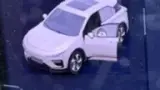Neta X - Miniatura 9