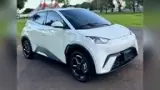 BYD Dolphin Mini - Miniatura 15