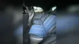BYD Dolphin Mini - Miniatura 19