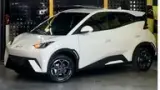 BYD Dolphin Mini - Miniatura 1