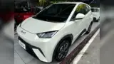 BYD Dolphin Mini - Miniatura 1