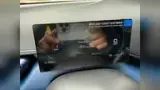 BYD Dolphin Mini - Miniatura 11