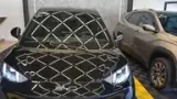 BYD Dolphin - Miniatura 3