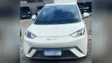 BYD Dolphin Mini - Miniatura 1