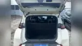 BYD Dolphin Mini - Miniatura 5