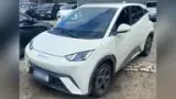 BYD Dolphin Mini - Miniatura 7