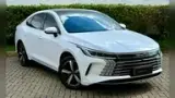 BYD King - Miniatura 3