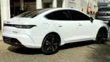 BYD King - Miniatura 8